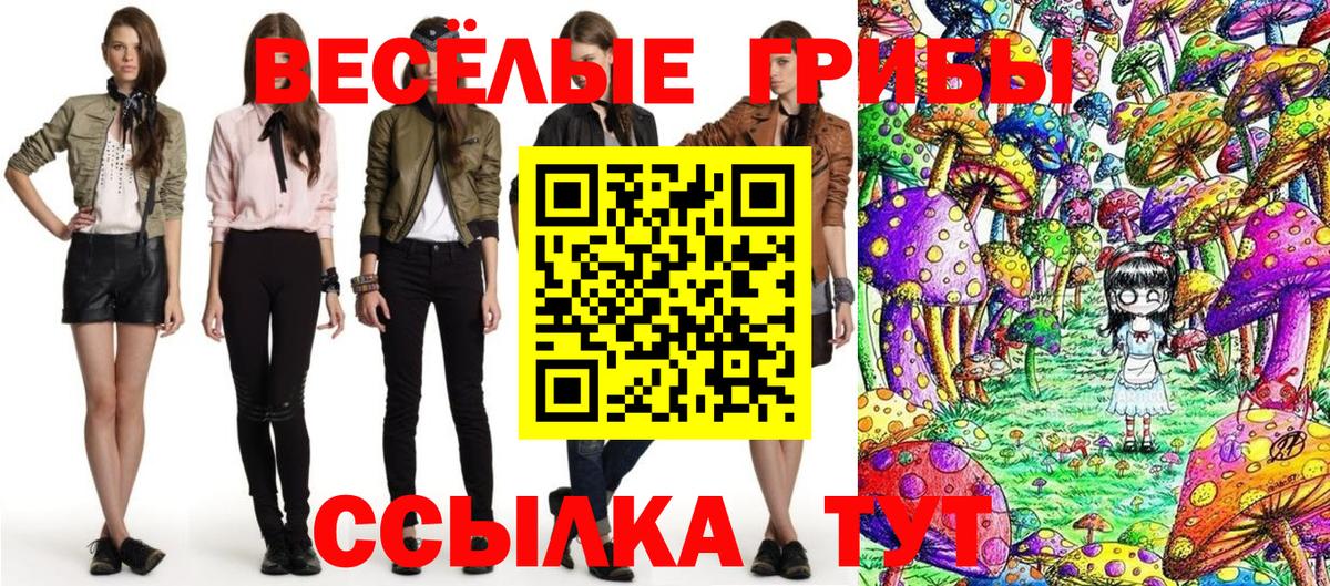 Галлюциногенные грибы мицелий  Галлюциногенные грибы ЛСД  Вход с VPN  купить закладку  Воронеж 